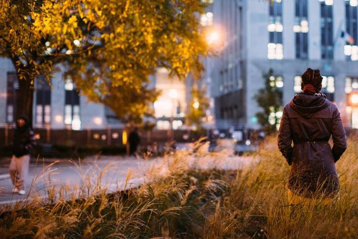 ___9176638___2018___12___7___9___00AWOLPROMO-facebookJumbo