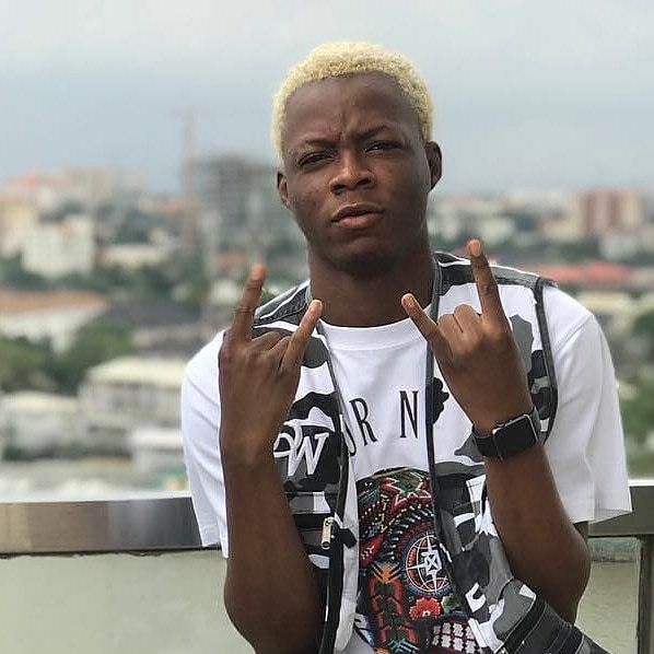 ___9188433___2018___12___11___13___Terri-bn