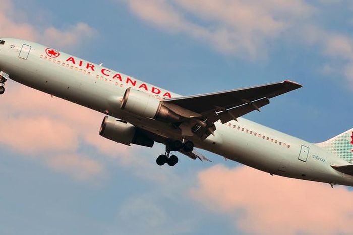 air canada plane (Daily Hive)