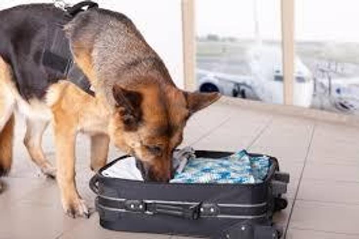 Familiarise yourself with these 10 Nigerian Customs contraband