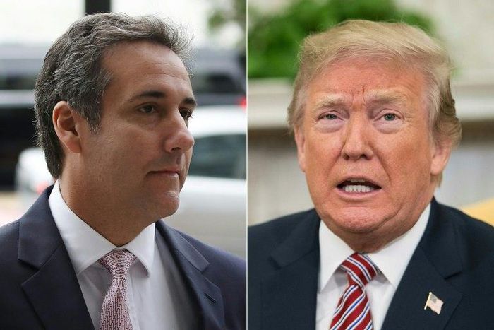 Michael Cohen (left) apologized for covering up the "dirty deeds" of US President Donald Trump