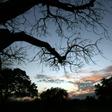 The Selous Game Reserve was designated a UNESCO World Heritage Site in 1982 as one of Africa's last remaining wildernesses. It was named after an Englishman, Frederick Selous, who died in 1917 while fighting in World War I.