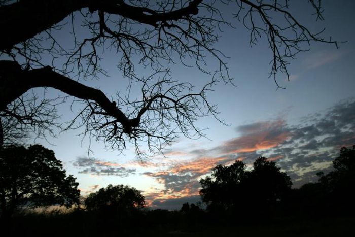 The Selous Game Reserve was designated a UNESCO World Heritage Site in 1982 as one of Africa's last remaining wildernesses. It was named after an Englishman, Frederick Selous, who died in 1917 while fighting in World War I.