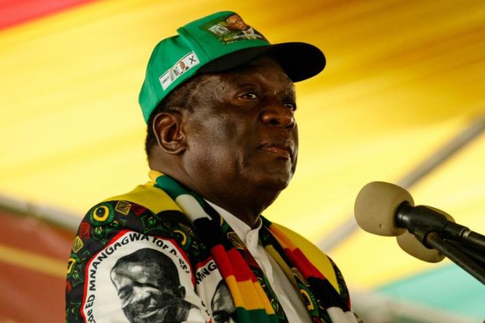 Zimbabwean President Emmerson Mnangagwa read out parts of the 1,290-page report