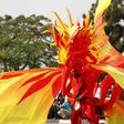 Calabar carnival