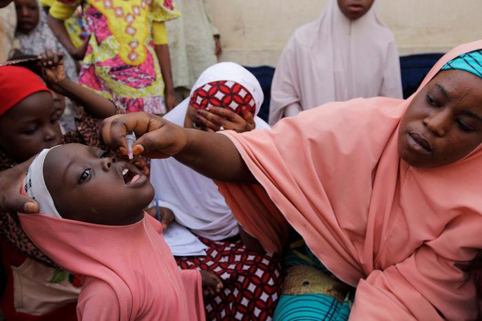 A Nigerian health official administers a polio vaccine to a child in Kano, northern Nigeria.