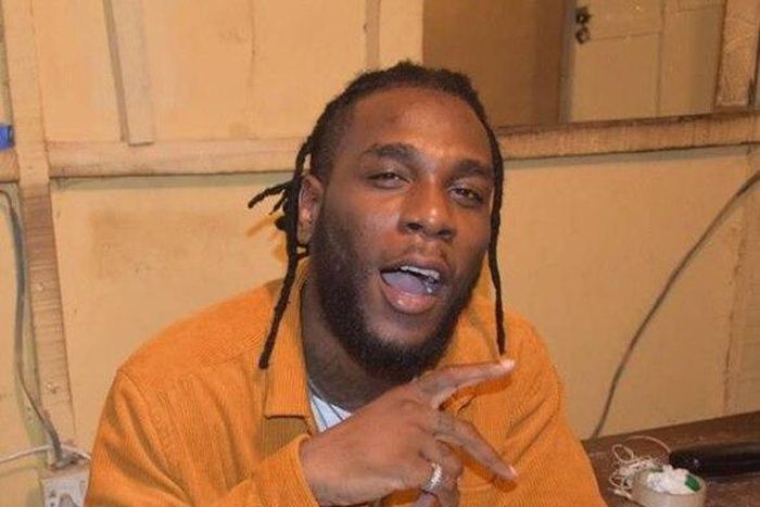 ___8573274___2018___7___3___15___Burna-Boy