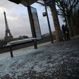 Cleaners swept up broken glass from smashed shop windows and bus stops across Paris on Sunday
