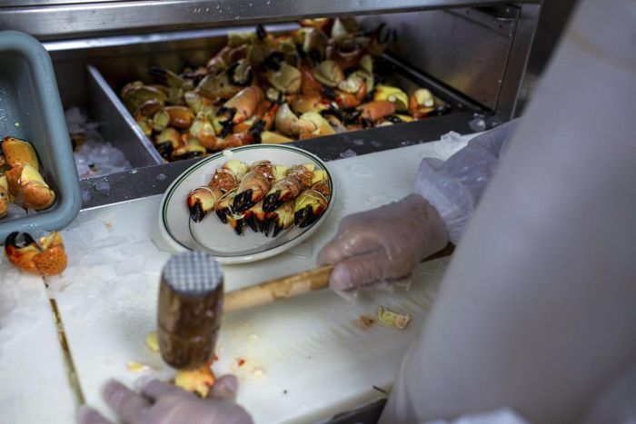 Empty Traps, and Plates, for Stone Crab Devotees