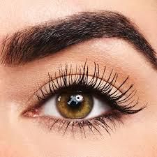 ___9077507___2018___11___6___17___download_1