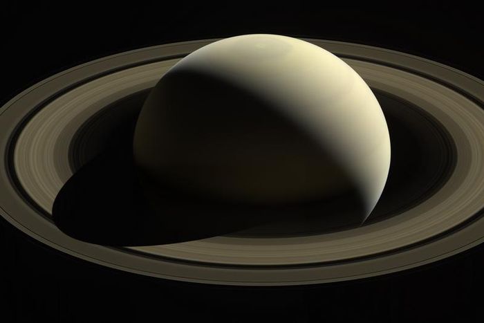 Saturn With No Rings? It Could Happen, and Sooner Than Astronomers Expected