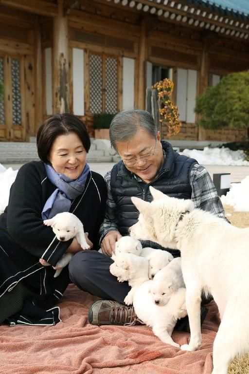 Moon's posted two pictures of the pooches, one of them showing five furry white pups cuddled on Moon's lap with the sixth in the first lady's arms