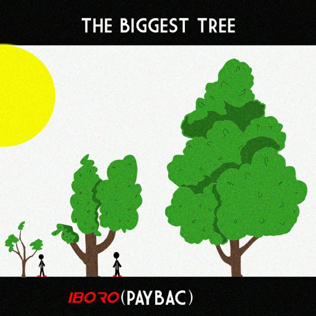 Paybac is reflective on The Biggest Tree