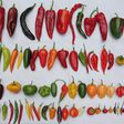 The different types of peppers we have in Nigeria
