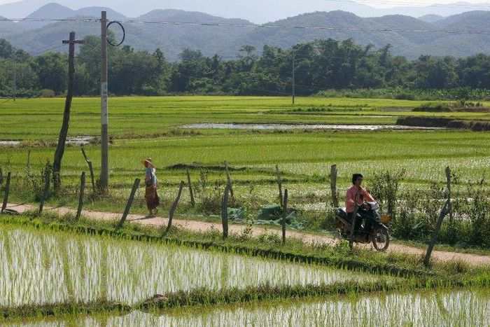 Thousands of vulnerable women and girls from northern Myanmar are being trafficked to China and forced to marry, according to a new study