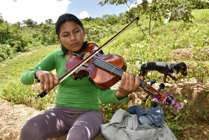 Mariel Chura, 21, plays the viola during a break from the coca harvest in Bolivia -- she says music helps her forget her problems