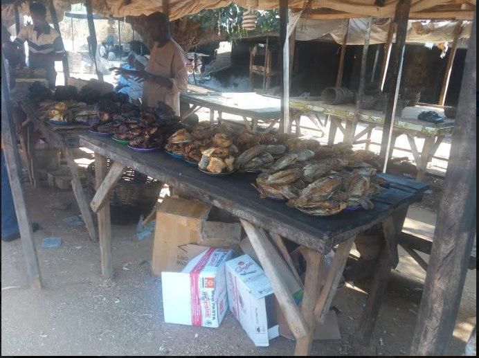 A predominance of Fish is what floods Kano the most.