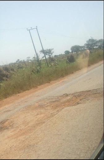 Bad Roads everywhere