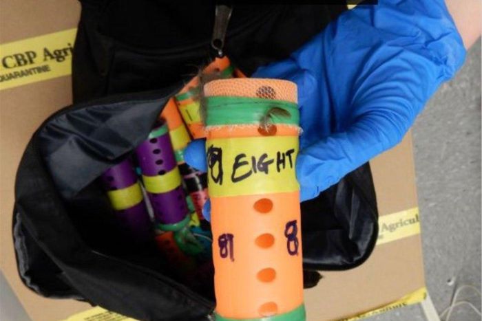 ___9194985___2018___12___13___6___13xp-finch-jumbo