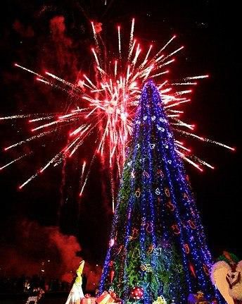 ___9150349___2018___11___29___15___calabarchristmastree1