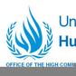 Office of the UN High Commissioner for Human Rights (OHCHR)