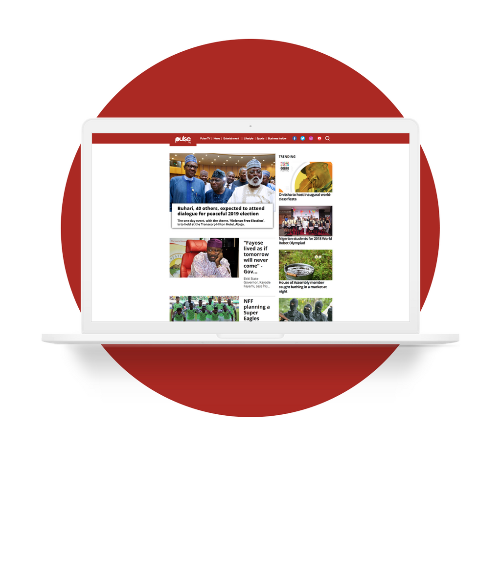 Pulse Website Press Release Design