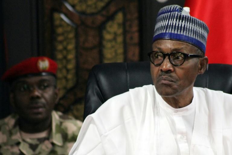 A spokesman for President Muhammadu Buhari said Nigeria is "concerned" about Amnesty International's activities