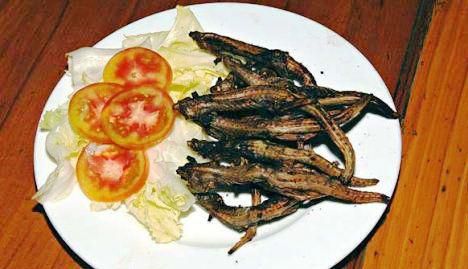 ___9180050___2018___12___8___9___Grilled-Lizard+foto+basa