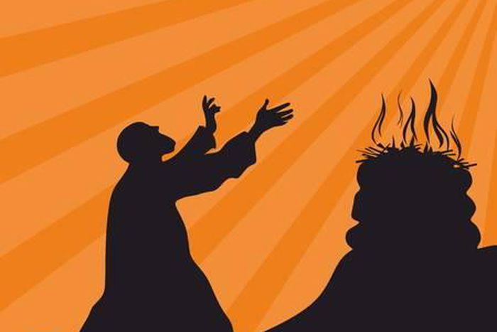 A man is adamant and defends his action killing his child in a bush.