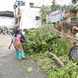 Thousands of trees were felled by winds that destroyed homes and hundreds of thousands were forced to flee to shelters in India's southern Tamil Nadu state after a cyclone struck the region