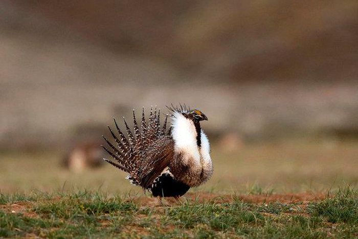 ___9176622___2018___12___7___9___merlin_140494119_56de5a03-45b0-4e61-a2cb-e6eafb3c85b4-articleLarge