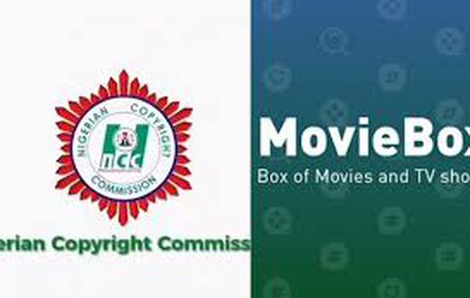 NCC Targets Online Piracy: Illegical site taken down over copyright infringement