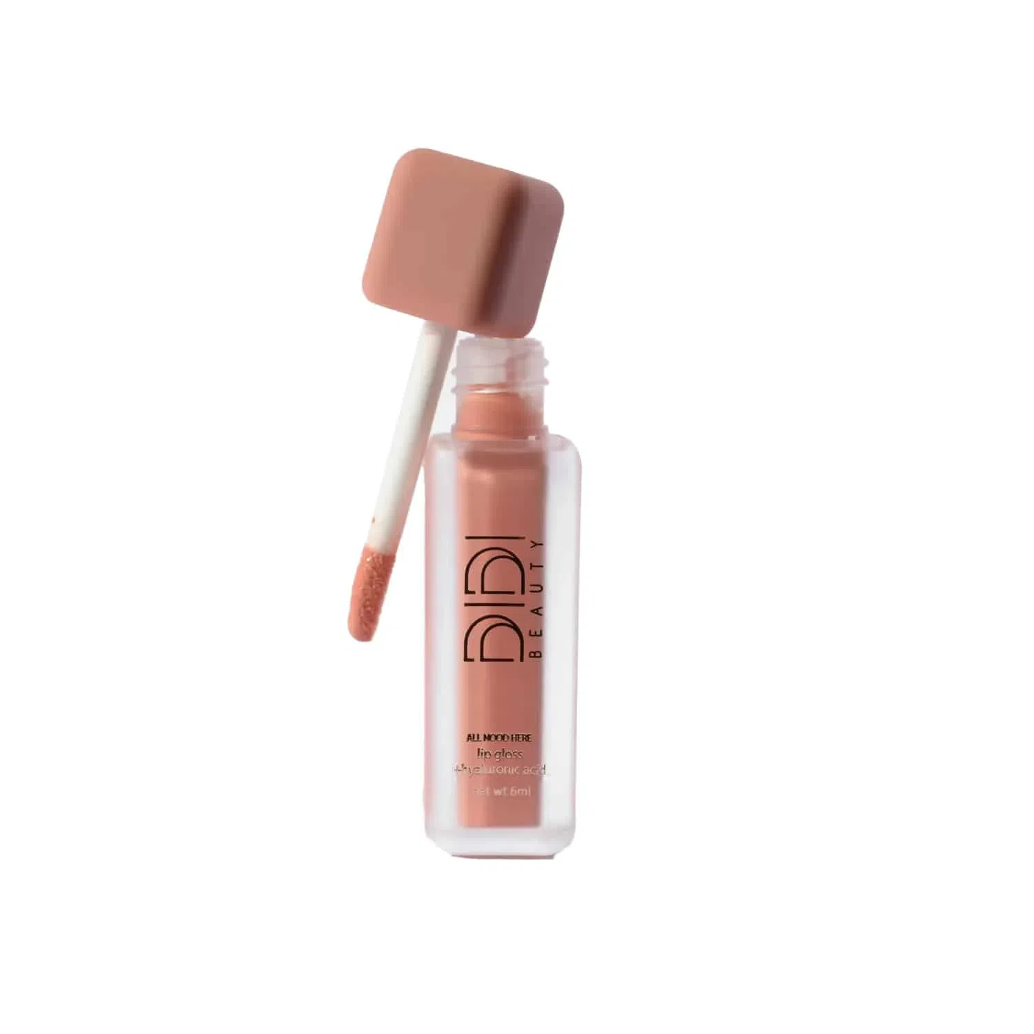 The Didi Beauty All Nood Here Lip Gloss