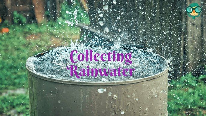 Abuja two-week water cut: 5 practical water alternatives for residents