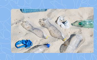 Lagos Single-Use Plastics Ban: Full List of Banned Items and What It Means