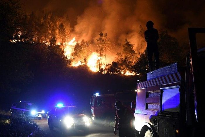 Firefighters battling a wildfire in Colmeal near Gois, where the blaze was tamed on Thursday