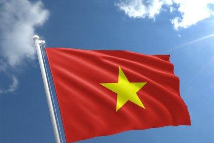 Vietnam flag