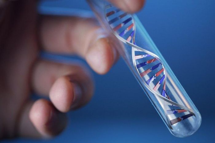 Would you take that DNA test?