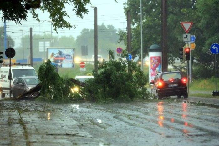 A car drives past a fallen tree after heavy storms lashed magdeburg in northern Germany, on June 22, 2017