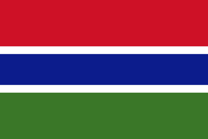 The Gambian flag