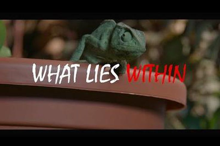 ___6982529___https:______static.pulse.com.gh___webservice___escenic___binary___6982529___2017___7___12___16___download