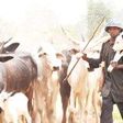 Sokoto LG seeks patrol teams to tackle cattle rustling