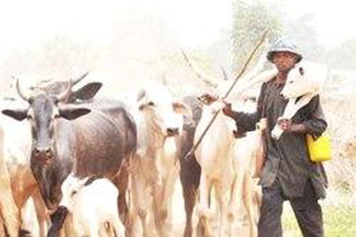 Sokoto LG seeks patrol teams to tackle cattle rustling
