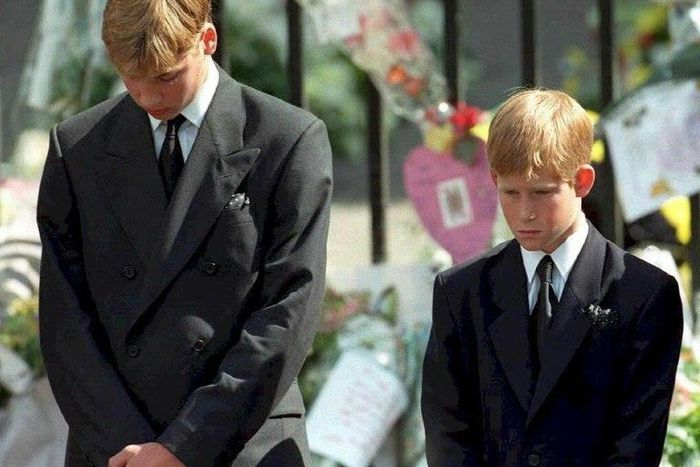 In the weeks leading up to the 20th anniversary of her death, Prince William and Prince Harry have opened up about the pain of losing their mother Diana, Princess of Wales