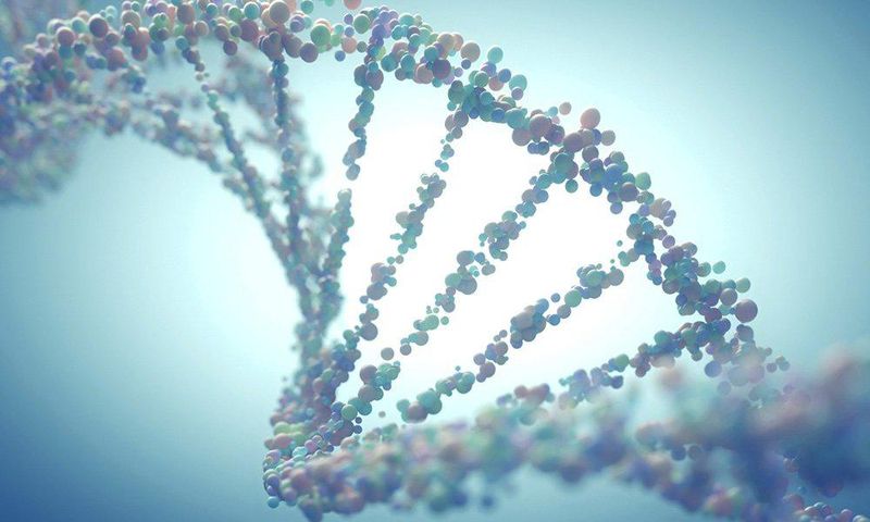 DNA strands.