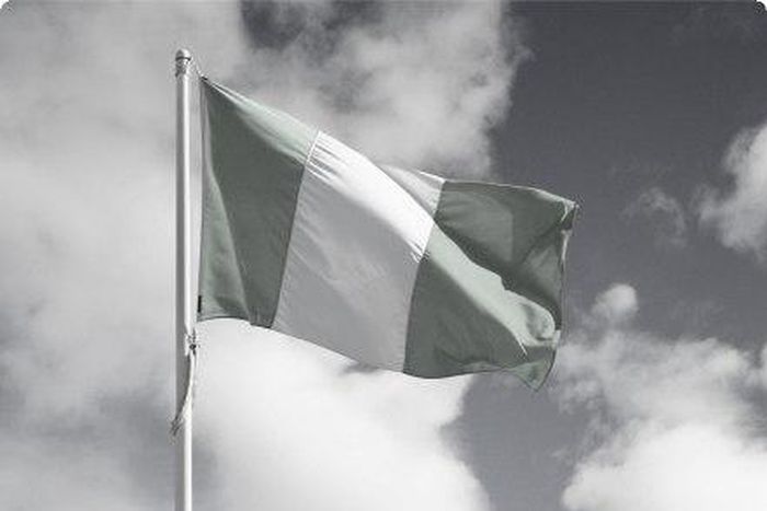 The Nigerian flag