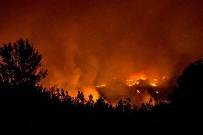 Firefighter dies after getting stuck while trying to help a family escape from their home furing a forest fire near the city of Constitucion