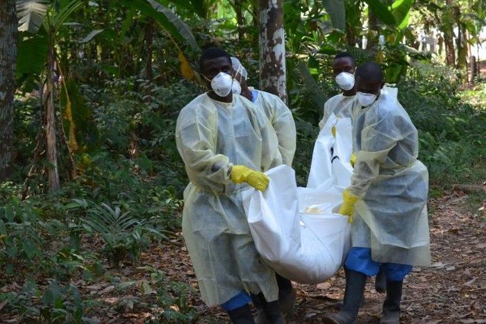 Red Cross volunteers, wearing protective clothing, carry the body of a person who died from Ebola during a burial in Monrovia, Liberia, on January 5, 2015