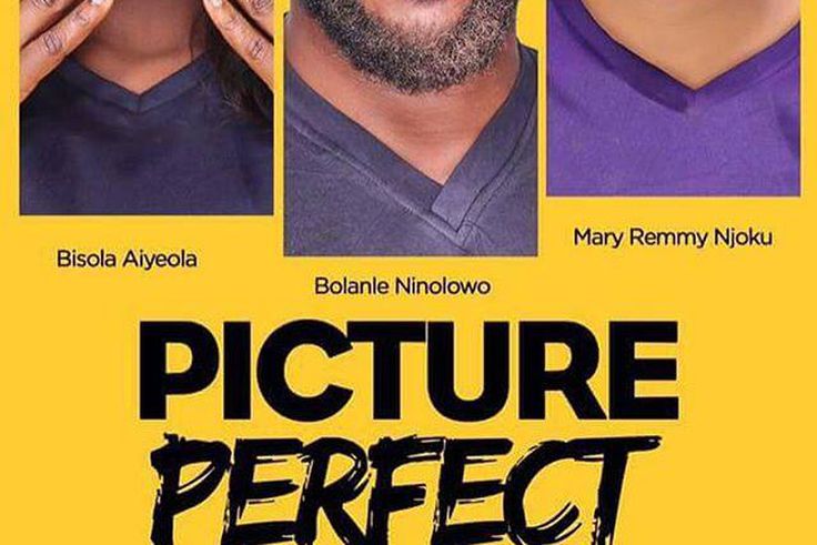 Picture Perfect Poster