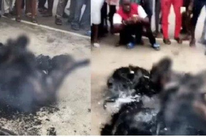 Some Badoo gang members received jungle justice to mark their reign of terror.